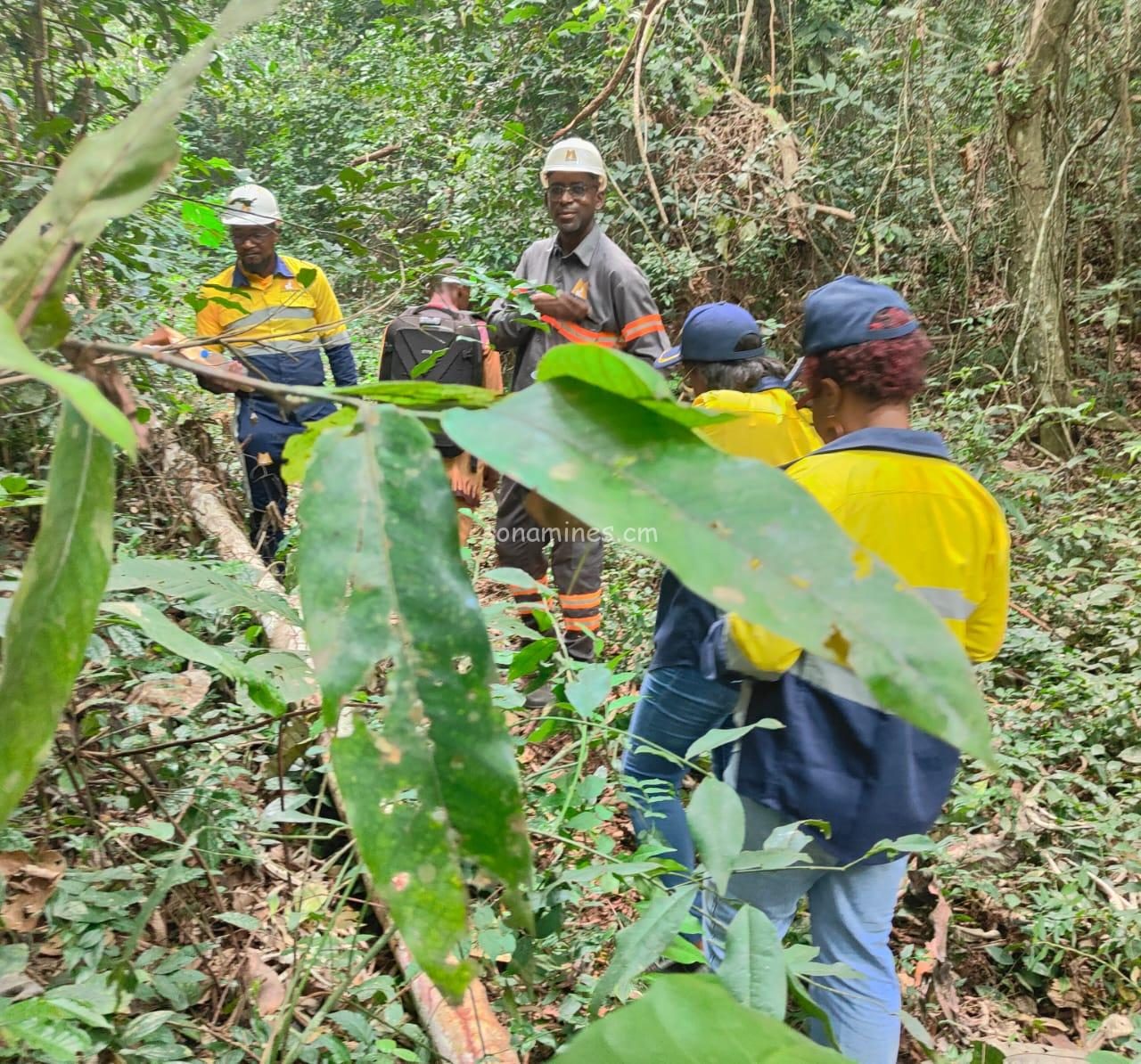 Nkamouna-Lomié : la société s’approprie le site